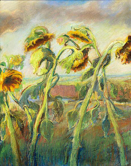 Sunflowers 